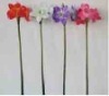 Wholesale Artificial flowers(many colours)