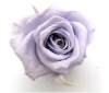 Wholesale 100% natural preserved artificial flower