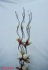 Wholesale 2011 New design of corn skin natural artificial flower