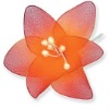 Wholesale Natural look Artificial Flower
