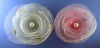 Wholesale artificial flowers