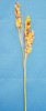 Wholesale artificial flower
