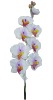 Wholesale Beautiful artificial flower