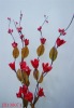 Wholesale 2011 New design of corn skin natural artificial flower