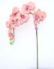 Wholesale 11 Head Single Butterfly Orchids Artificial Flower