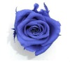 Wholesale 100% natural preserved artificial flower