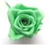 100% natural preserved artificial flower
