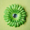 Wholesale Artificial flowers