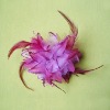 Wholesale Artificial flowers