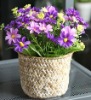 Wholesale Latest Charming & Welcomed Artificial Flower