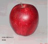 Wholesale Ornamental fruits