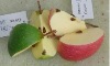 Wholesale Ornamental fruits