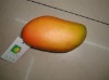 Wholesale Decorative artificial mango