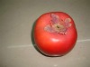 Wholesale Decorative tomatoes