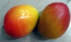 Wholesale Artificial fruits
