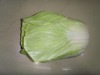 Wholesale Artificial vegetables