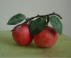 Wholesale Ornamental fruits