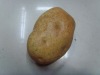 Wholesale decorative vegetables