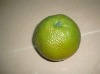 Wholesale Decorative green sweet orange