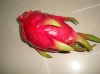 Wholesale Decorative pitaya