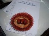 Wholesale Decorative Chinese chestnut