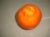 Wholesale Decorative sweet orange