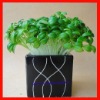 Wholesale Beautiful home decorative artificial plant