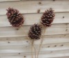 Wholesale Pure Hand Made Artificial Plants,Pine Corn