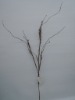 Wholesale artificial plant