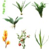 Wholesale Artificial Plant
