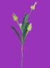 Wholesale artificial plant