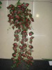 Wholesale artificial colorful plants