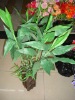 Wholesale artificial plants bonsai