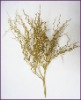 Wholesale Bush Felicitous plant Artificial flower