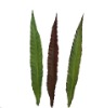 Wholesale Artificial plant