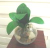 Wholesale Artificial plant