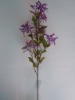 Wholesale plastic plant