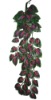 Wholesale Ivy artificial plant