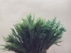 Wholesale Pure Hand Made Artificial Plants,grass