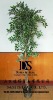 Wholesale Artificial tree,artificial plant,home decor,plastic plant,plastic tree,christmas tree,pvc tree
