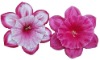 Wholesale Silk Flowers & Silk Plants