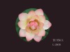 Wholesale EVA Artificial Lotus Flower