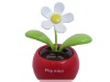 Wholesale solar flower