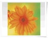 Wholesale delicate 3d art card