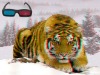 Wholesale Popular 3D pictures photos