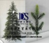 Wholesale Christmas Tree,Christmas Plant,artificial christmas tree,xmas tree,xms tree,pvc christmas tree,fiber christmas tree,pvc tree