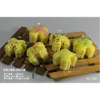Wholesale 2011 hot artificial food