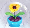 Wholesale Solar Flower