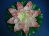 Wholesale EVA Artificial Lotus Flower