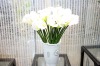 Wholesale artificial plants